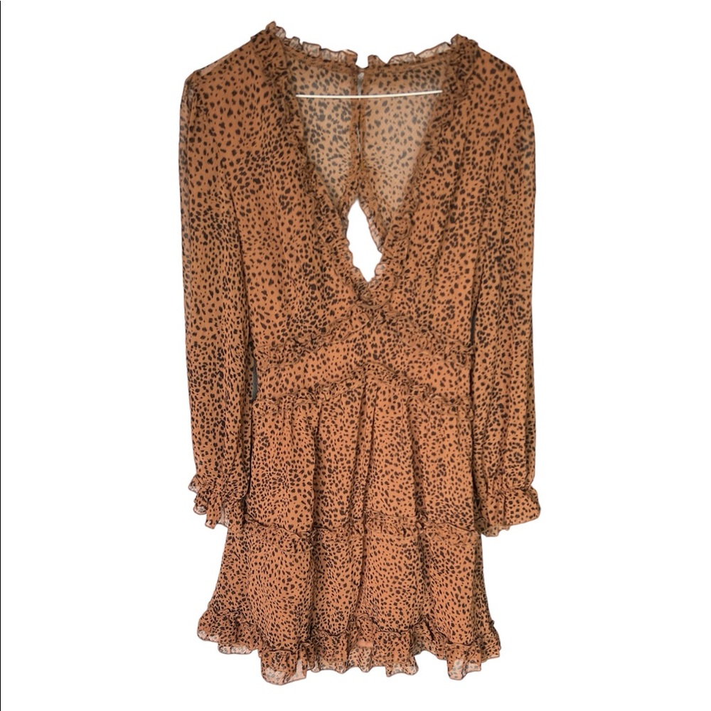 Animal Print V-Neck Long Sleeve Dress